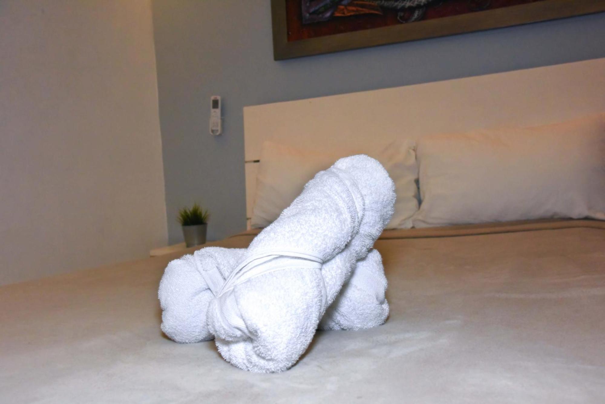 Hostel Gato Colonial Σάντο Ντομίγκο Εξωτερικό φωτογραφία