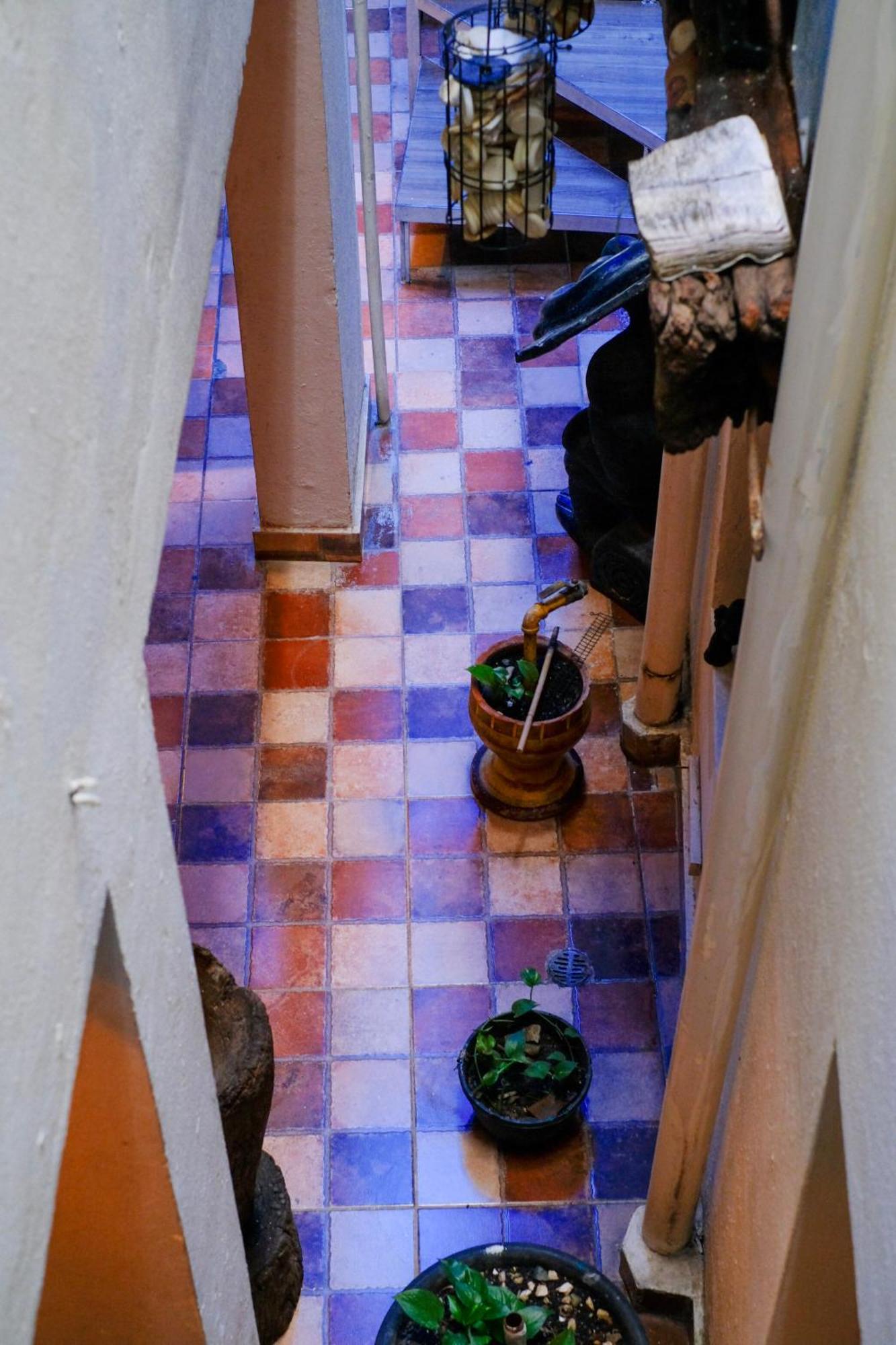 Hostel Gato Colonial Σάντο Ντομίγκο Εξωτερικό φωτογραφία